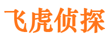 汉川外遇调查取证